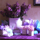 The Gift table 