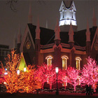 Assembly Hall holiday lights 