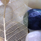 Leaf and Stones