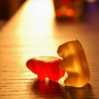 Gummy Bear Fornication