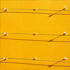 Abstract(Yellow wall 1)