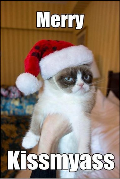 evilcat1