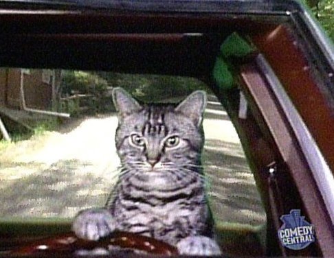 Toonces.