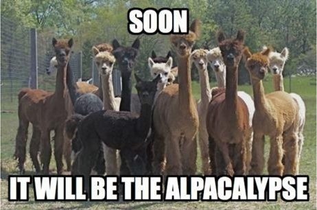 Soon