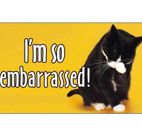 Embarrasment