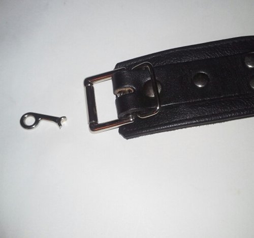 Broken buckle Jaguar