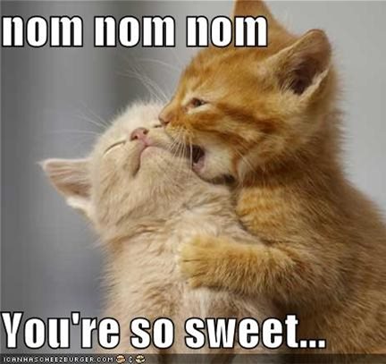 Noms