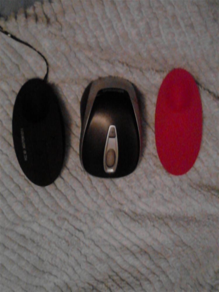 mouse