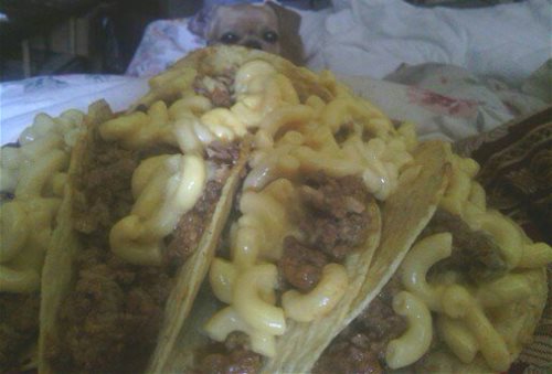 My maceroni and cheese tacos and my baby girl GINGER.