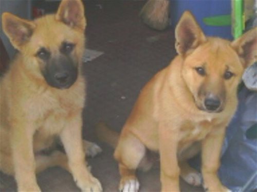 BROTHER AND SISTER