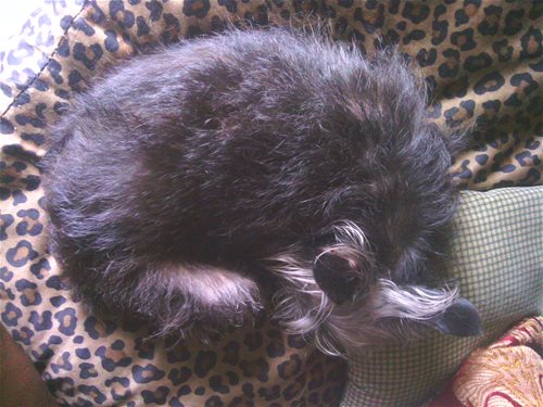 My Angel sleeping.