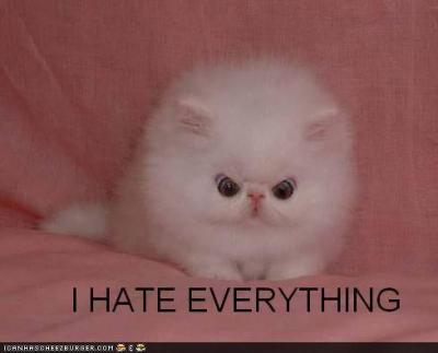 angry marshmallow