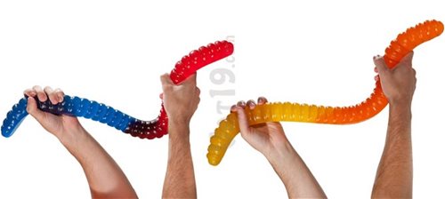 Snake Sex Toy
