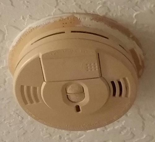 Detector