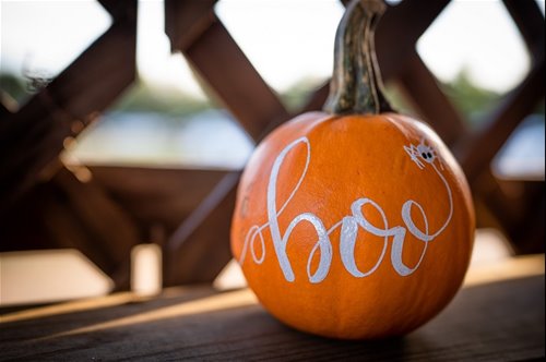 pumpkin