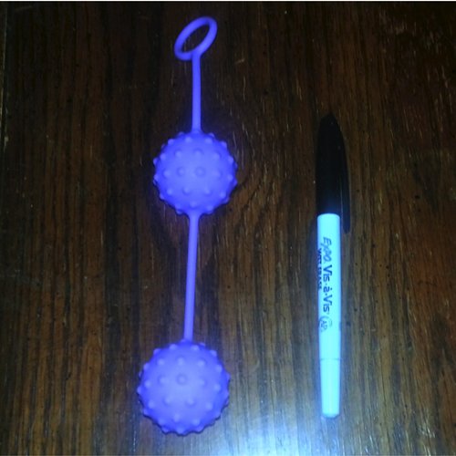 Little Frisky Size Comparison