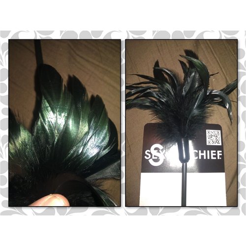 feather