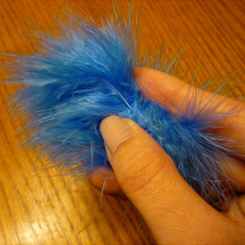 a stiff feather in the centre of a bad tickler