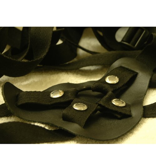 Harness