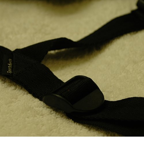 Buckle