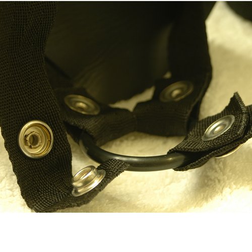 Snap Detail