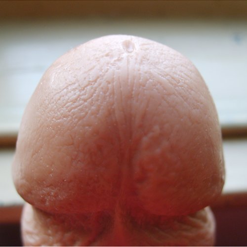 noches latinas head detail