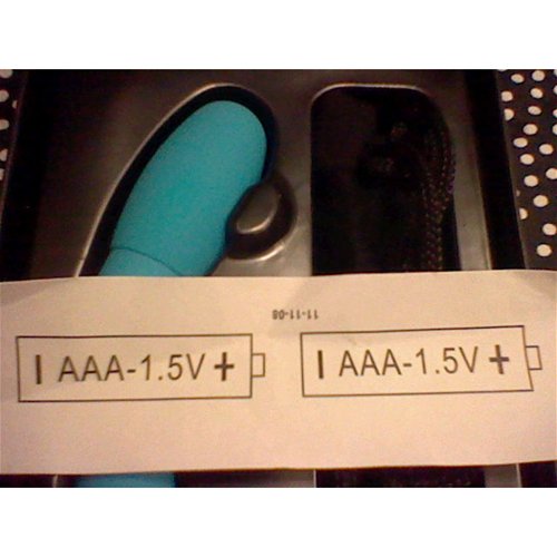 Bgee Battery Instructions.