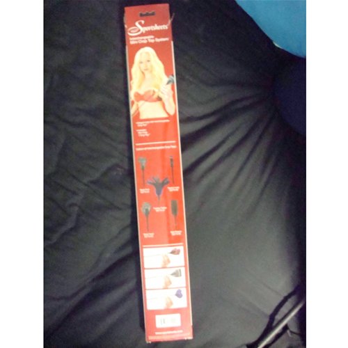 package back2