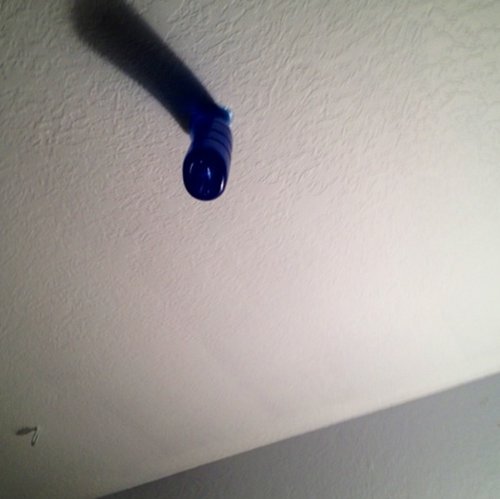 Spider Vag on my ceiling