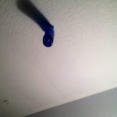 Spider Vag on my ceiling