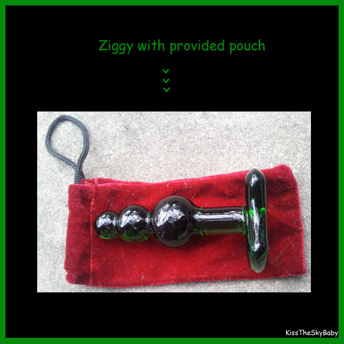 ZiggyPouch