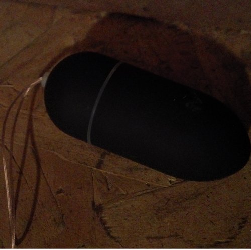 Egg