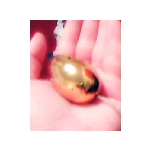 Egg Size