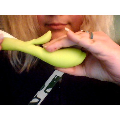 Zook Demo