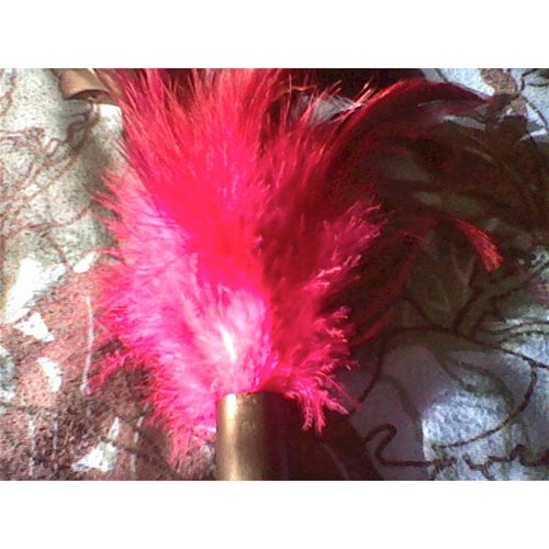 Starburst fantasy feather – tickler in Rose