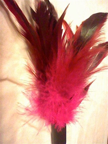 Starburst fantasy feather – tickler (Rose)