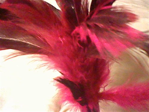 Starburst fantasy feather – tickler (Rose)