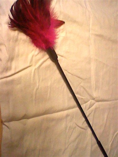 Starburst fantasy feather – tickler (Rose)