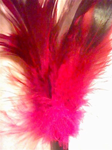Starburst fantasy feather – tickler (Rose)