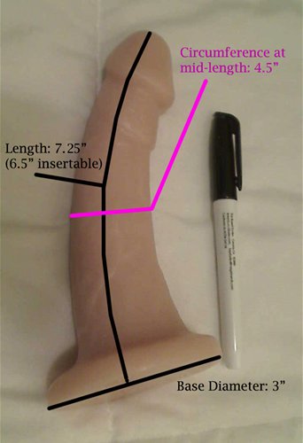 Mustang Measurements