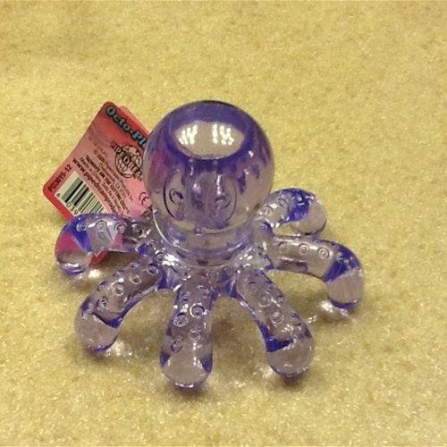 Cute little Octopus