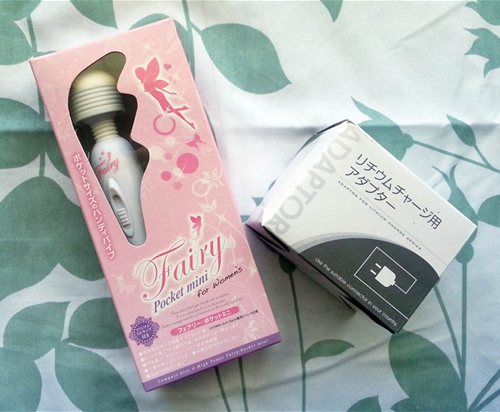 Pocket Fairy and separate wall adapter.