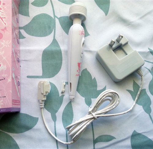 Charger and charging port