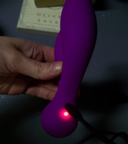 Charging light