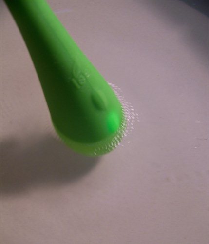 Bloom water test