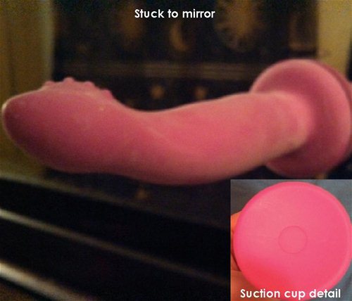 Suction Cup