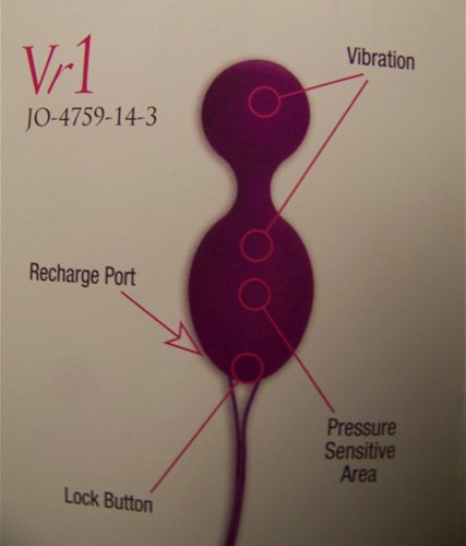 Manual Vr1