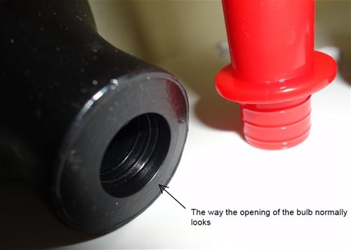 Opening of Bulb