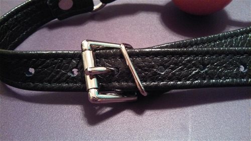 Buckle