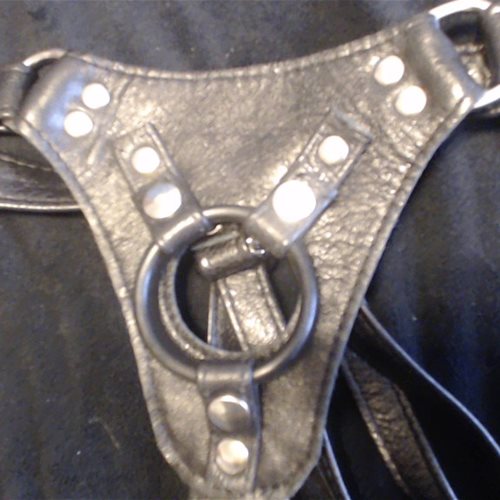Close up of the front of the harness